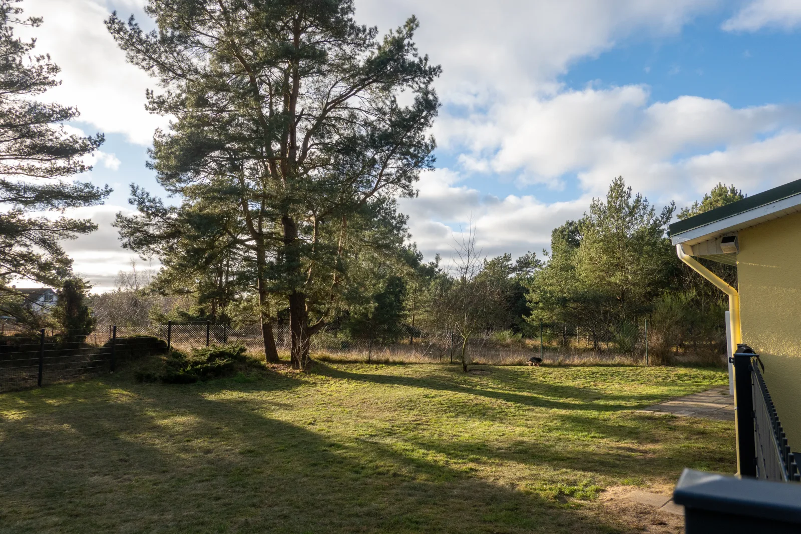 Hundeparadies "Bodden Paradise Cottage"