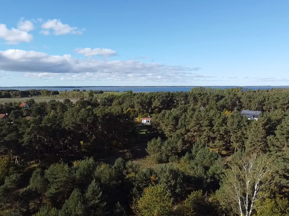 Hundeparadies "Bodden Paradise Cottage"
