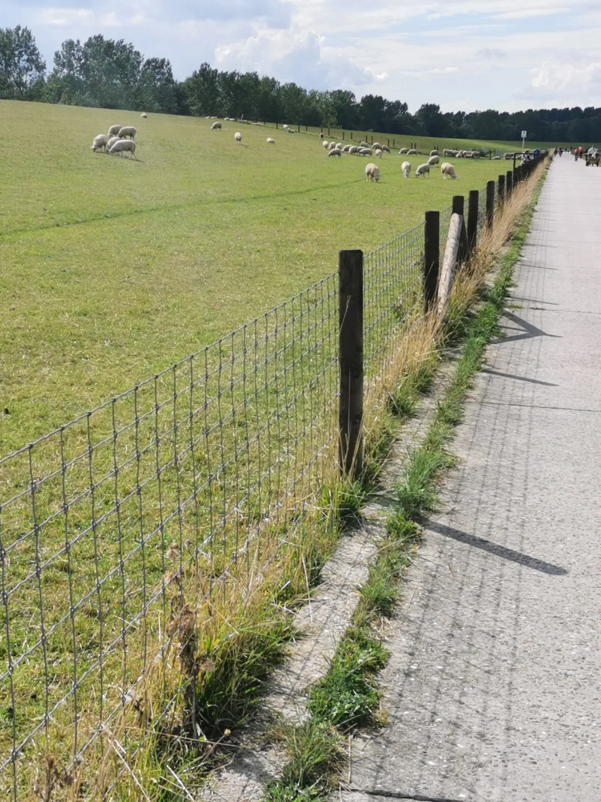 Ferienwohnung Kerstin in Strackholt