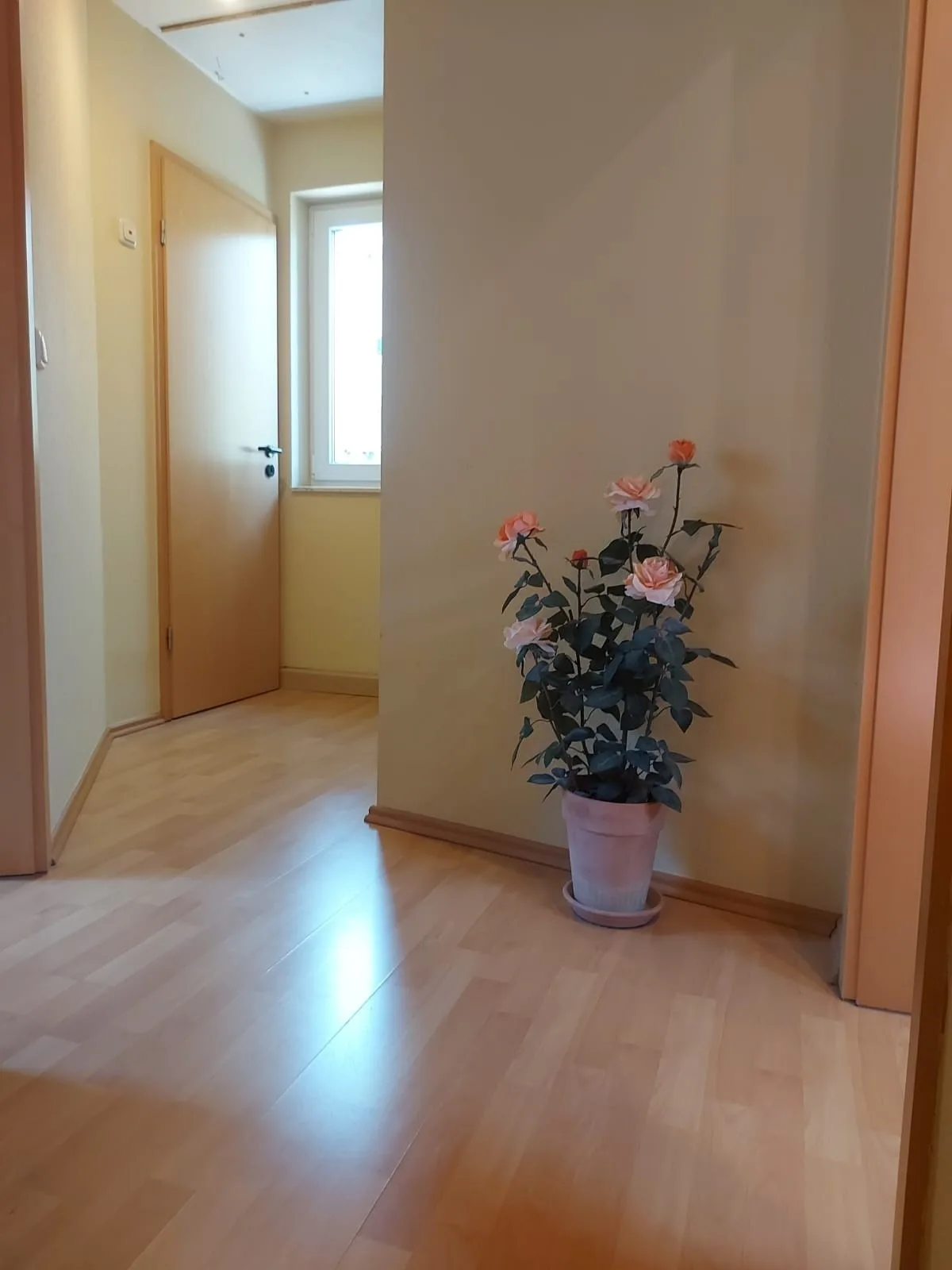 Ferienhaus Skipperglück