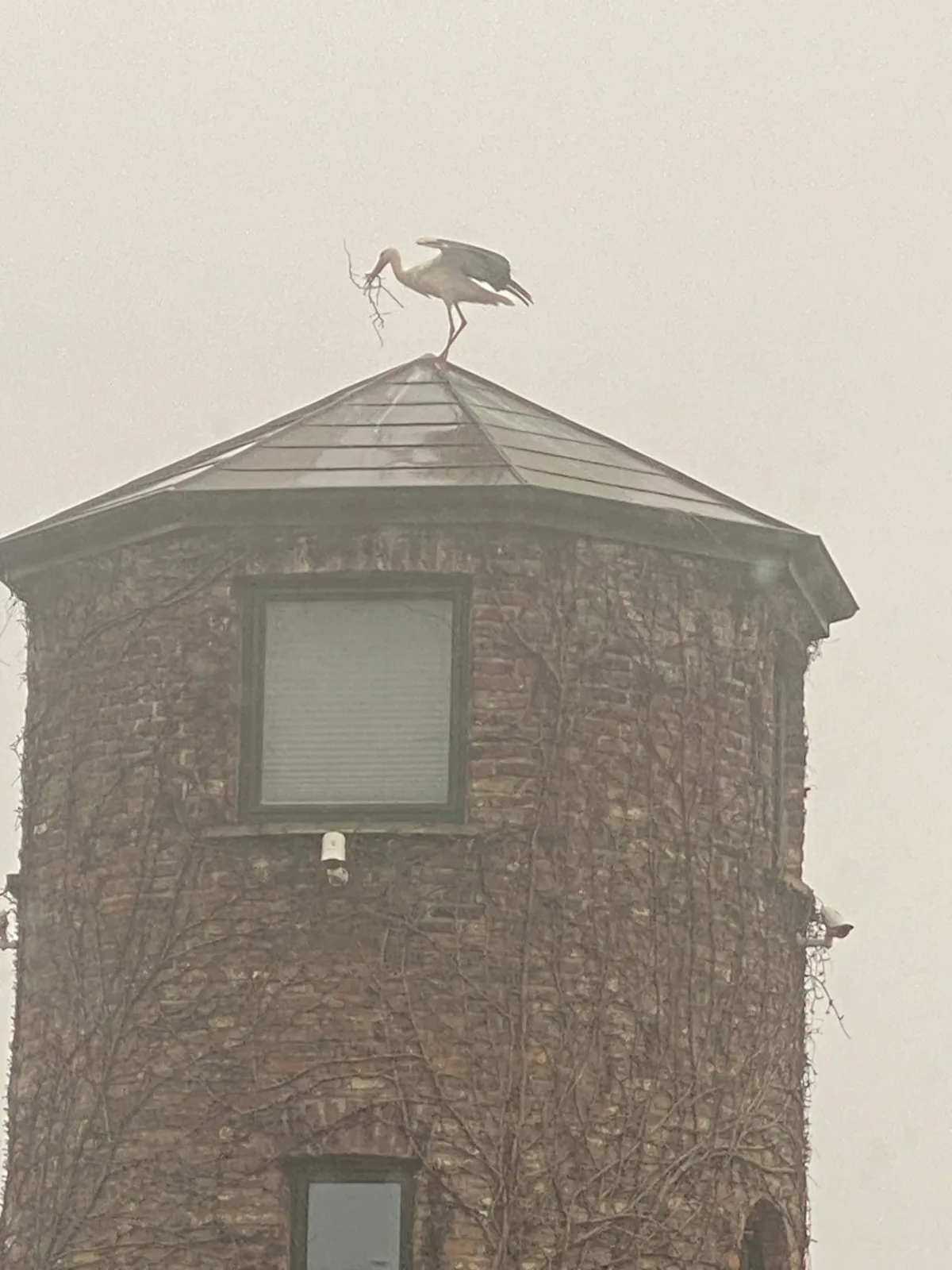 Turm auf altem Bauernhof