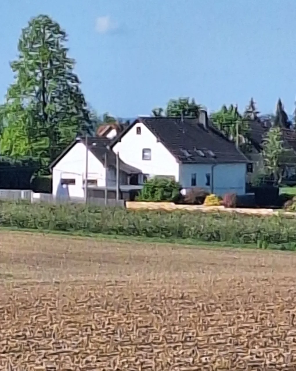 Bergblick-FeWo