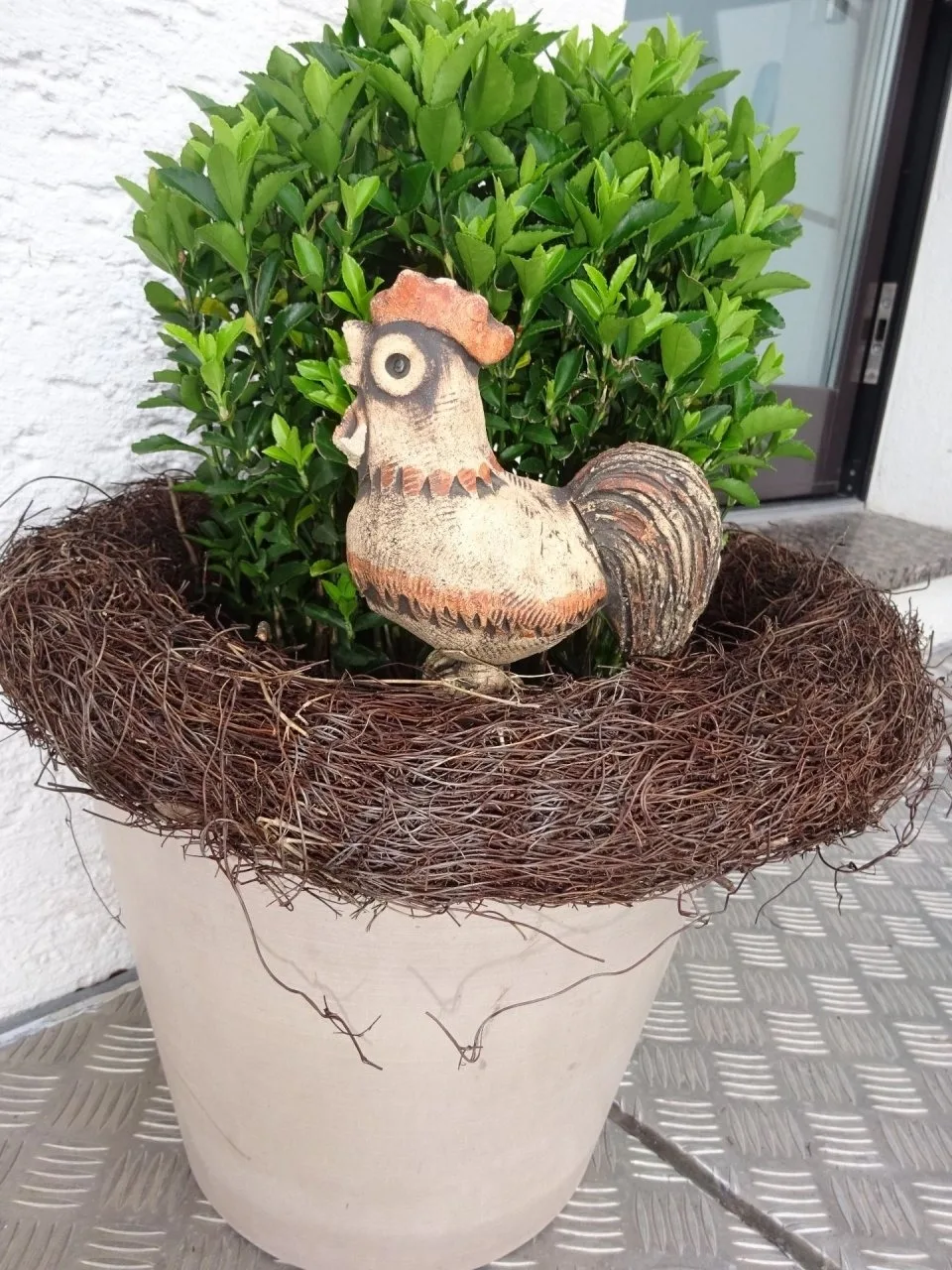 Vogelnest mit Balkon