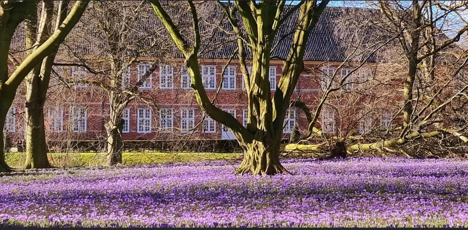 Ferienhaus Paulsen