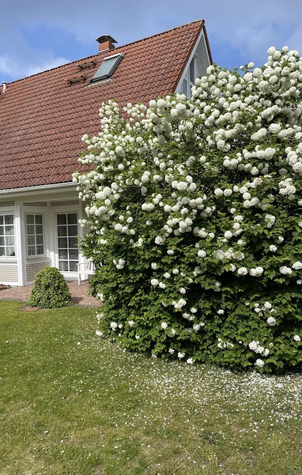 Darßer Ferienhaus Gartenwohnung