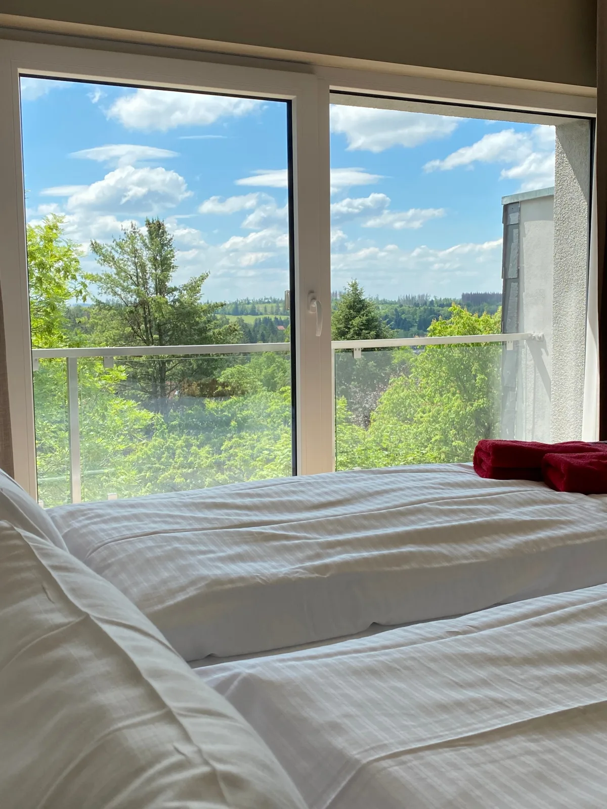 Braunlagelodge Ferienwohnung 2.1 mit eigener Sauna