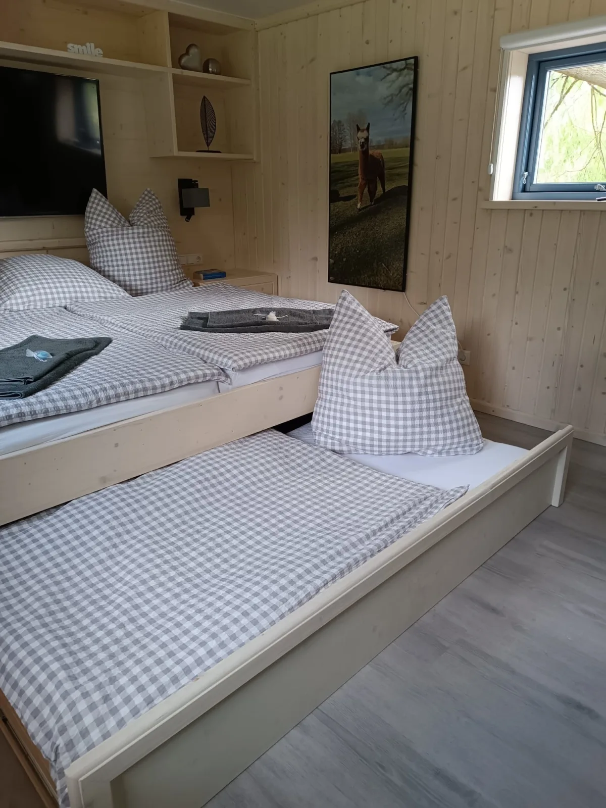 Tiny House & Alpaka-Erlebnis im Ruhner Land - Naturidylle pur