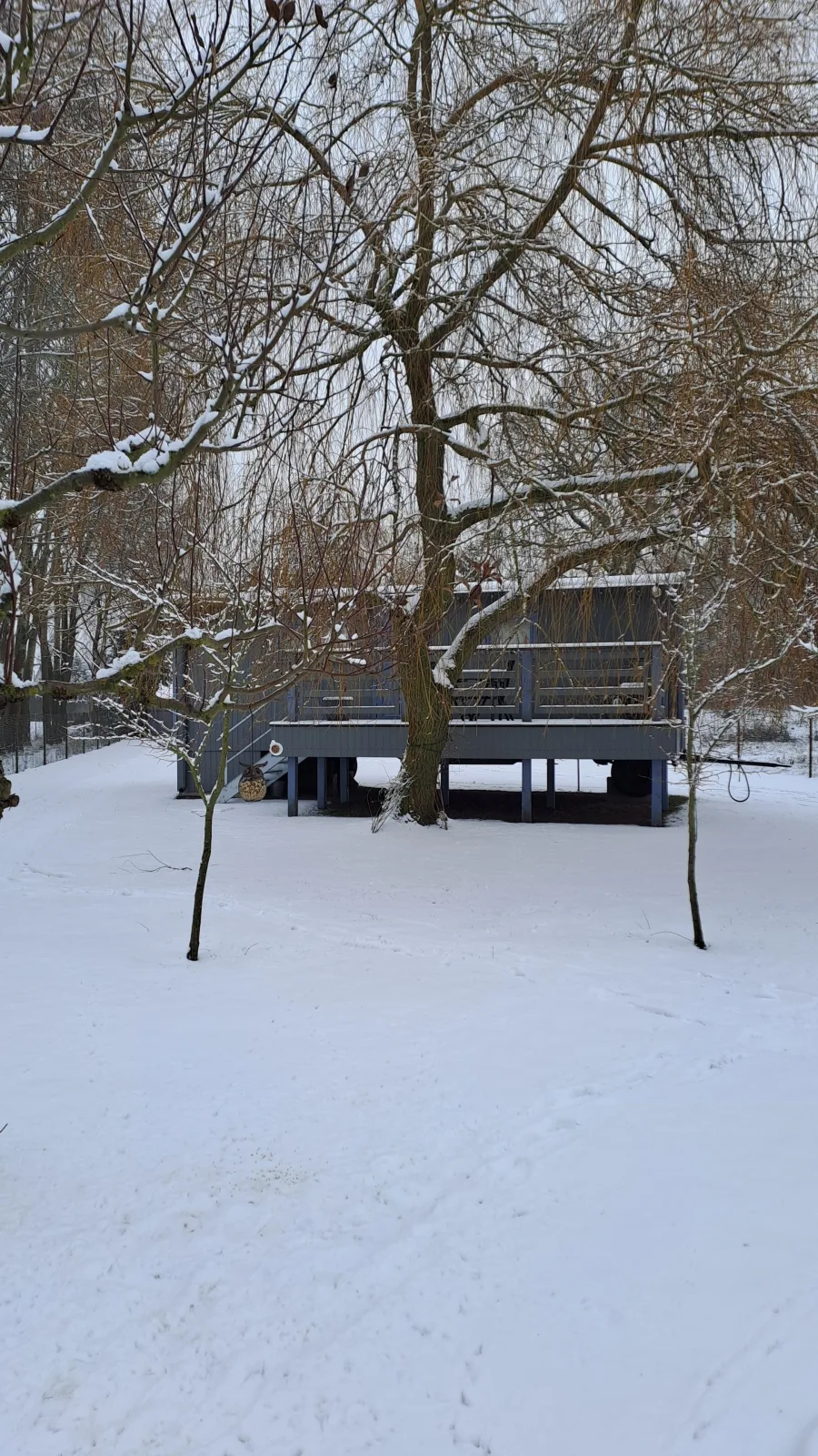 Tiny House & Alpaka-Erlebnis im Ruhner Land - Naturidylle pur