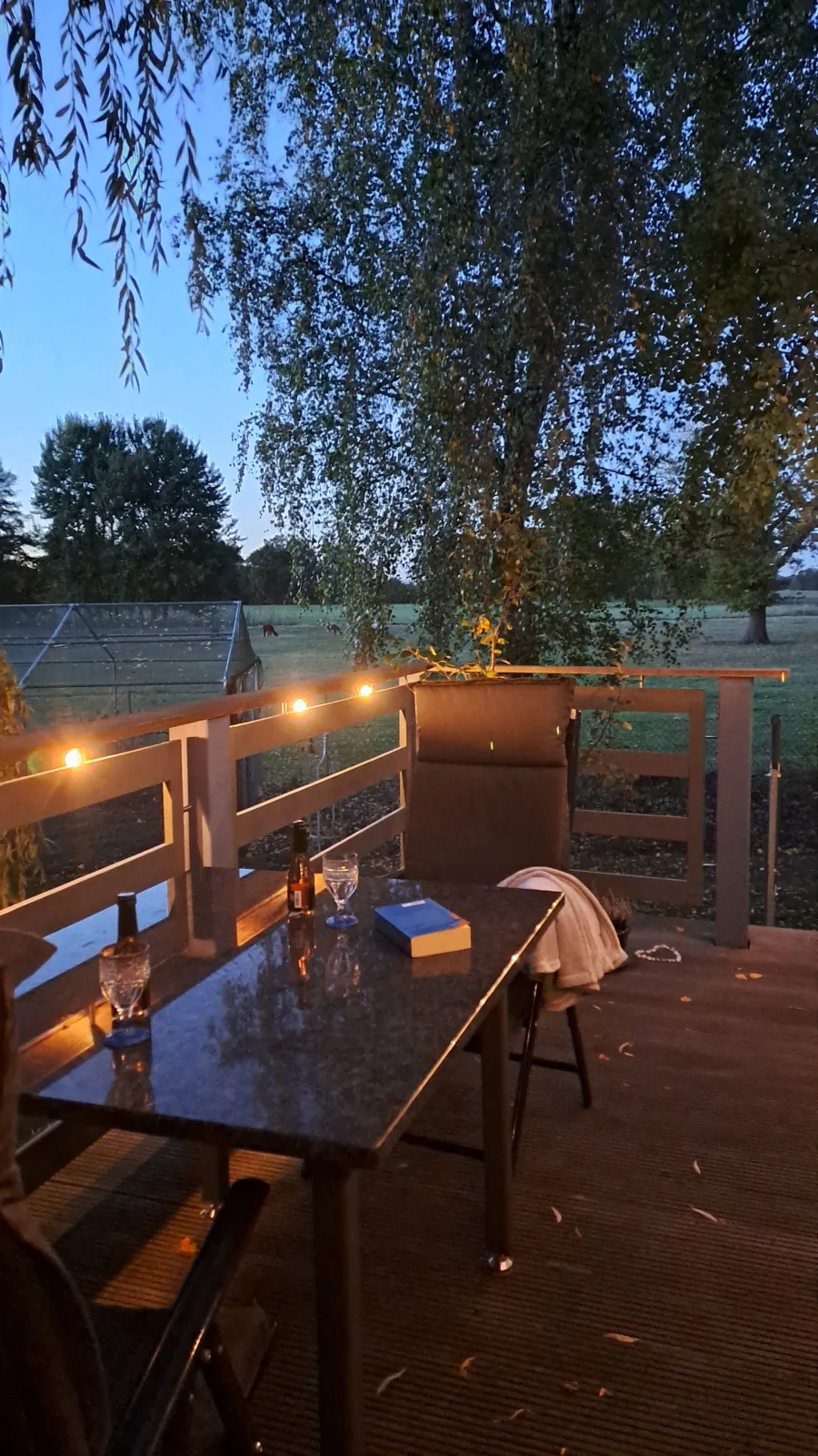 Tiny House & Alpaka-Erlebnis im Ruhner Land - Naturidylle pur