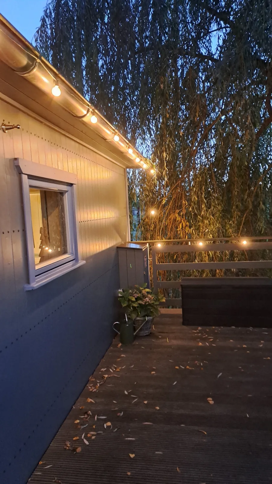 Tiny House & Alpaka-Erlebnis im Ruhner Land - Naturidylle pur