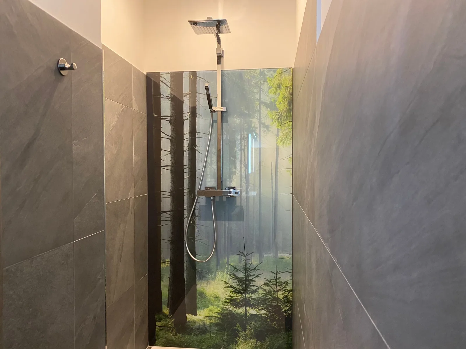 Braunlagelodge Ferienwohnung 1.4 mit Infrarotkabine