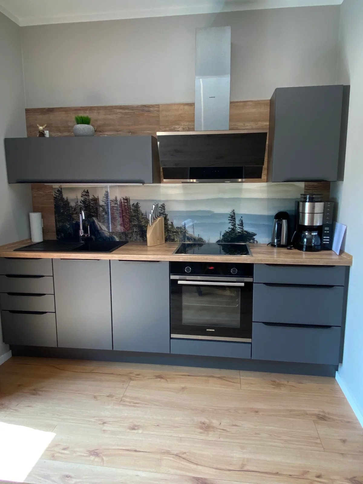 Braunlagelodge Ferienwohnung 0.3 mit Sauna