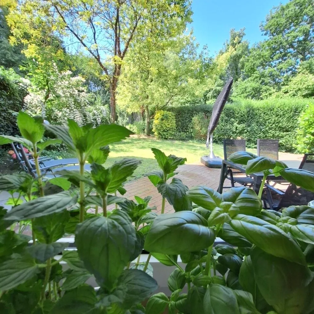 Ferienhaus Roomina