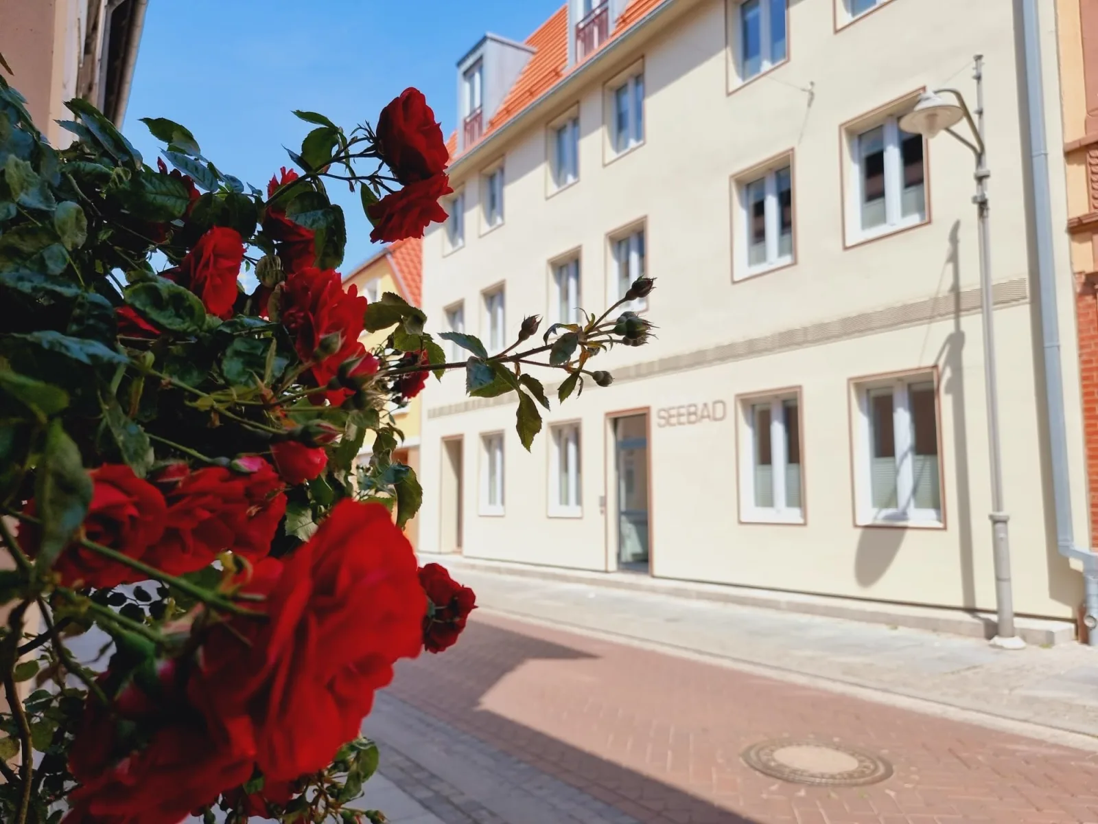 Haus Seebad Ueckermünde Ferienwohnungen