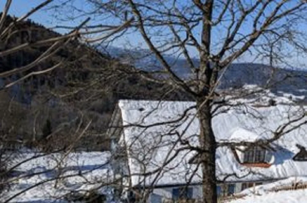 Ferienland Sonnenwald FEWO 11