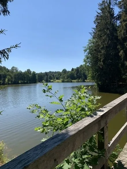 Ferienland Sonnenwald FEWO 11