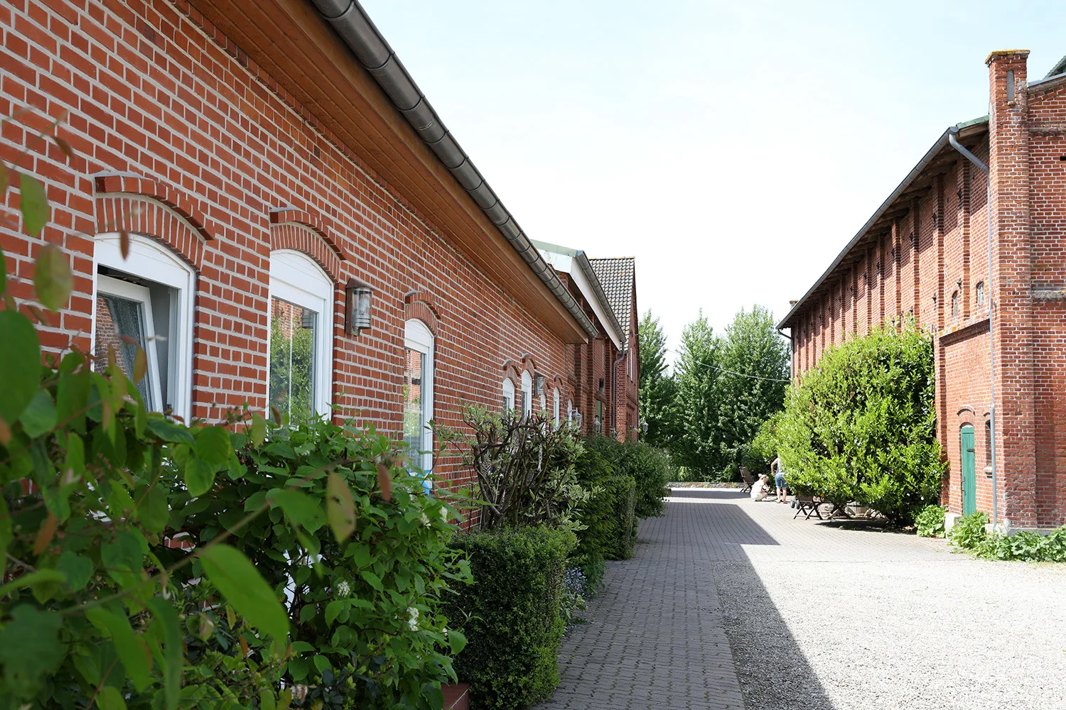 Bett in't Kornfeld - Bauernhof "Hofbude Fehmarn"