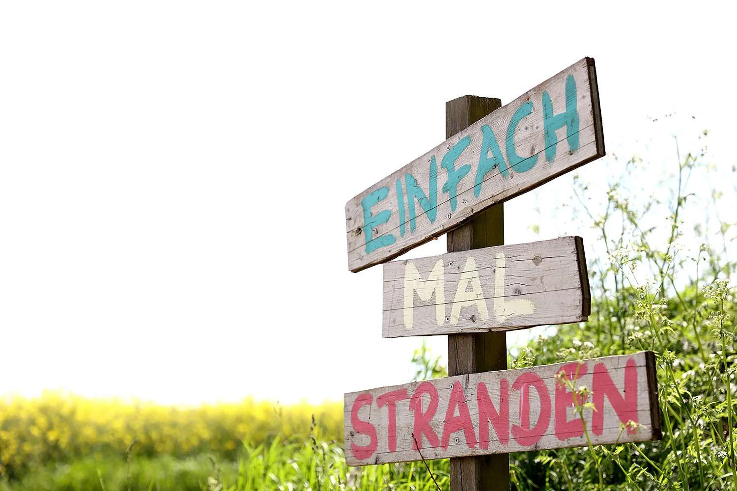 Sünnschien - Bauernhof "Hofbude Fehmarn"