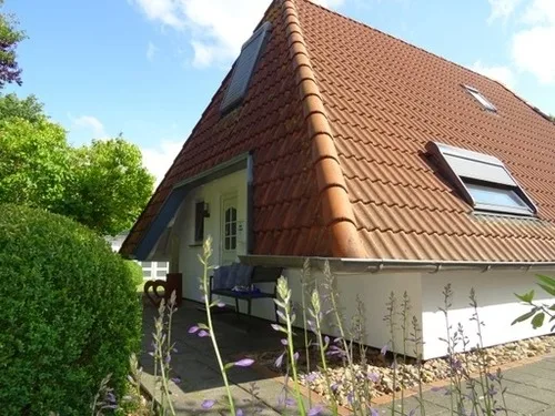 Dodegge