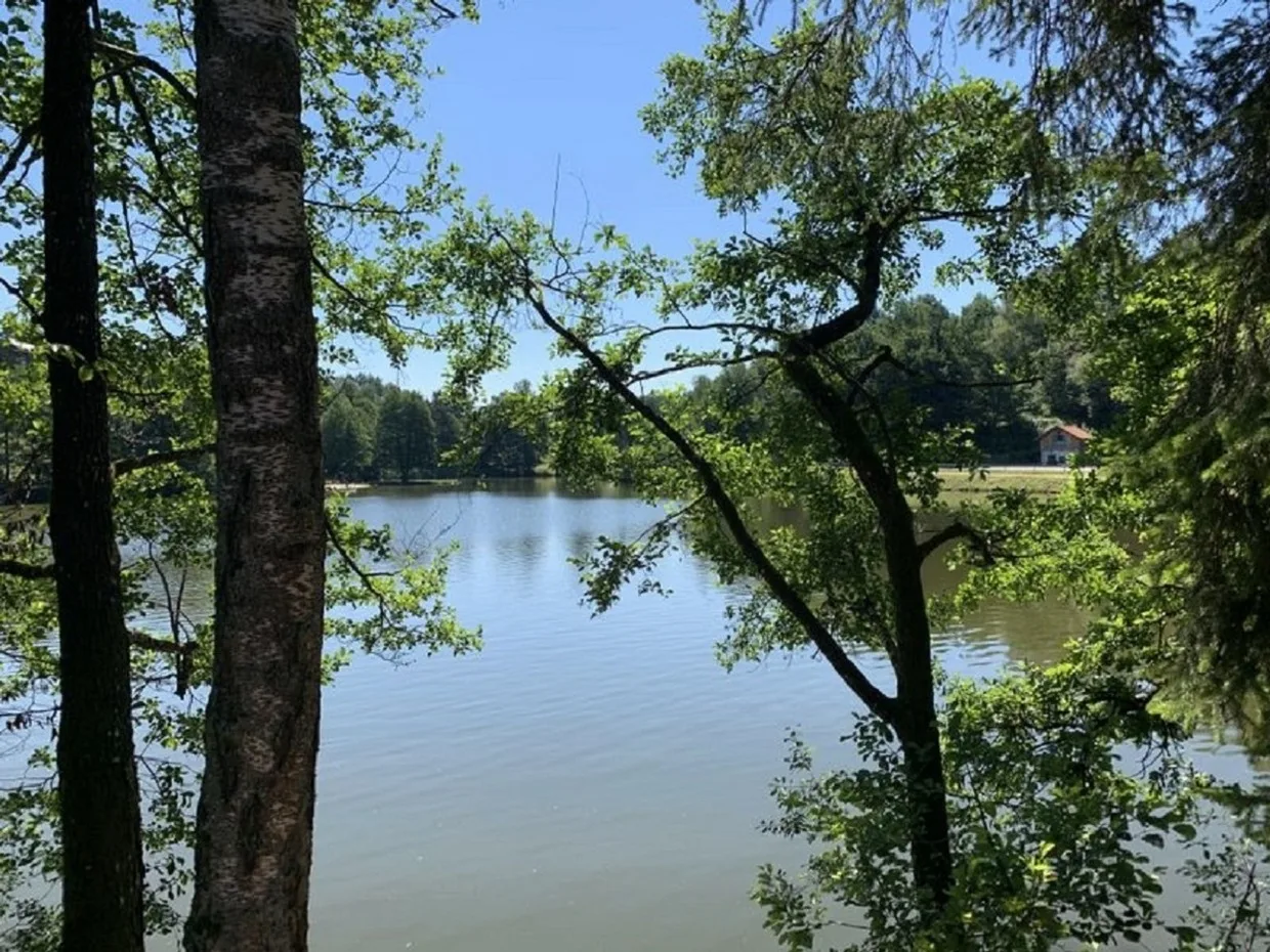 Ferienland Sonnenwald FEWO 46