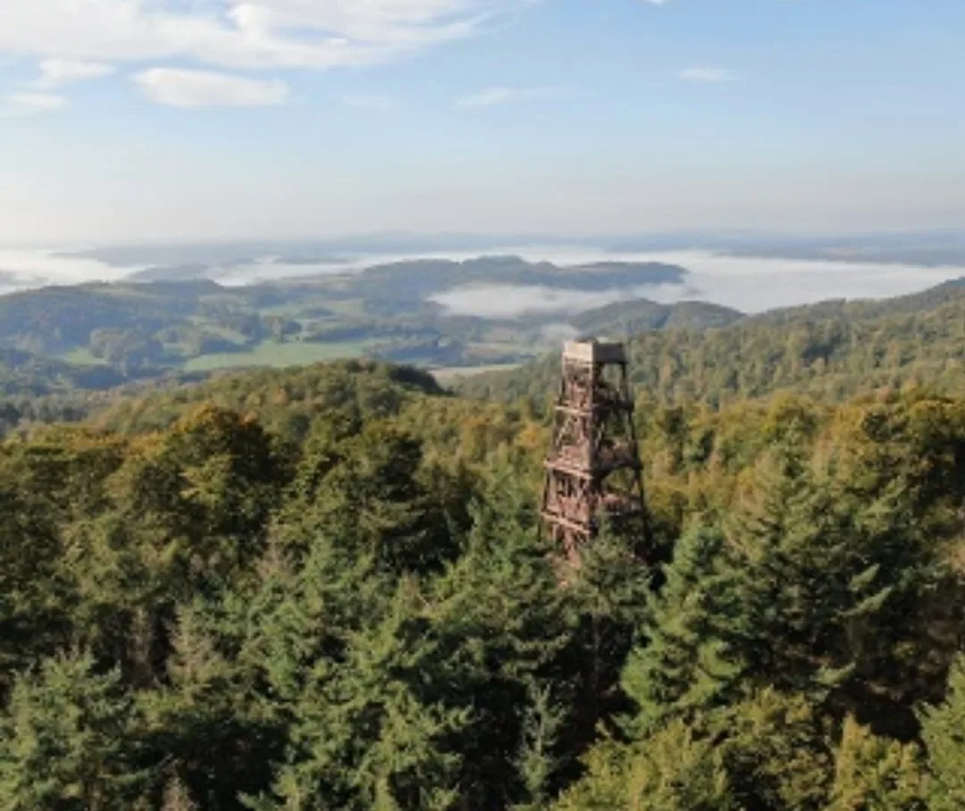Ferienwohnung am Bismarckturm