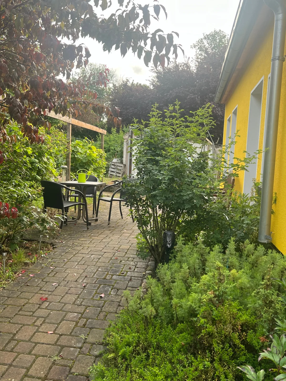 Am Stadtrand im Grünen
