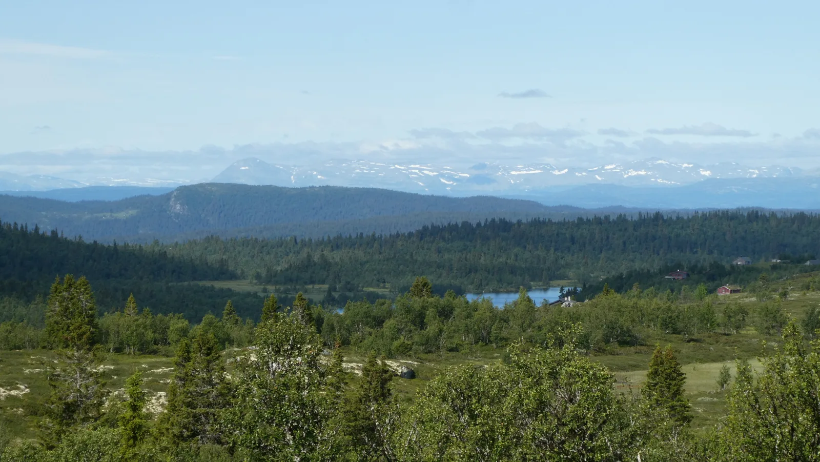 Hygglige Fjellhytte