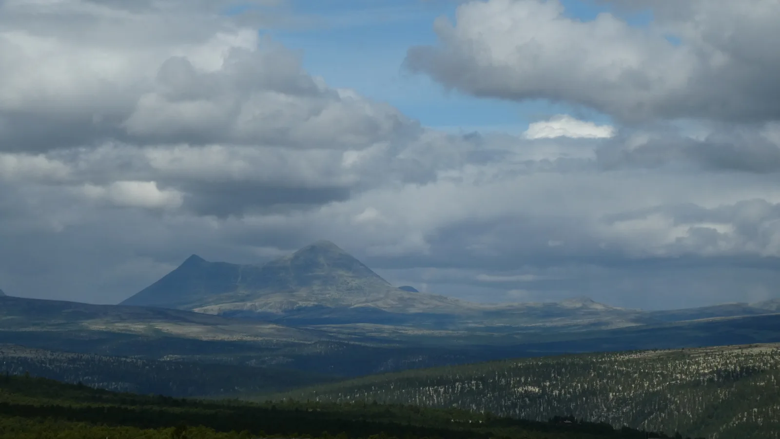 Hygglige Fjellhytte