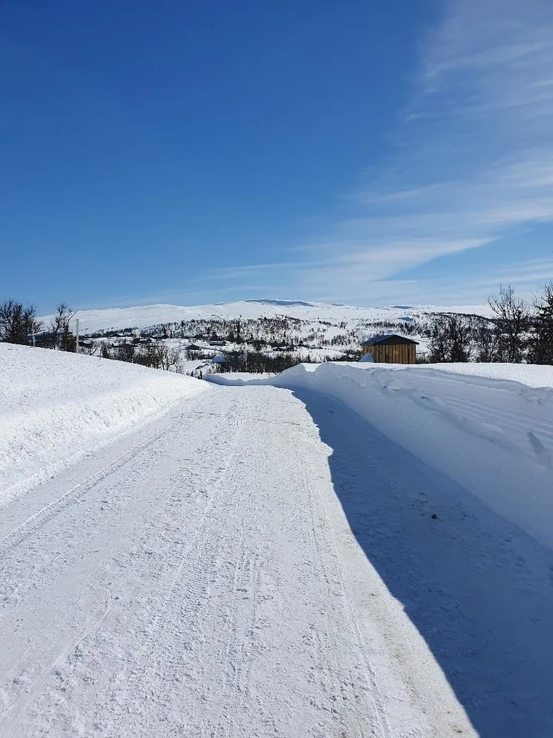 Hygglige Fjellhytte