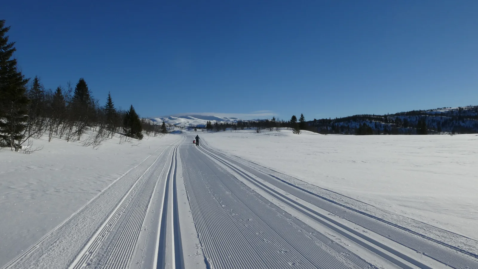 Hygglige Fjellhytte