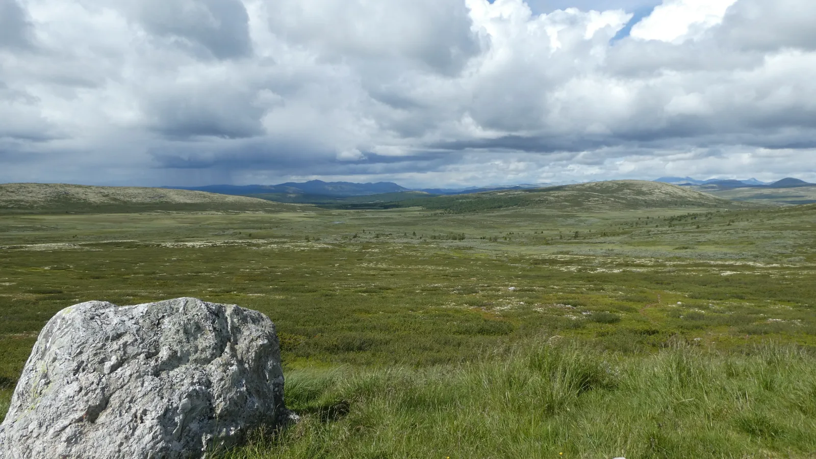 Hygglige Fjellhytte