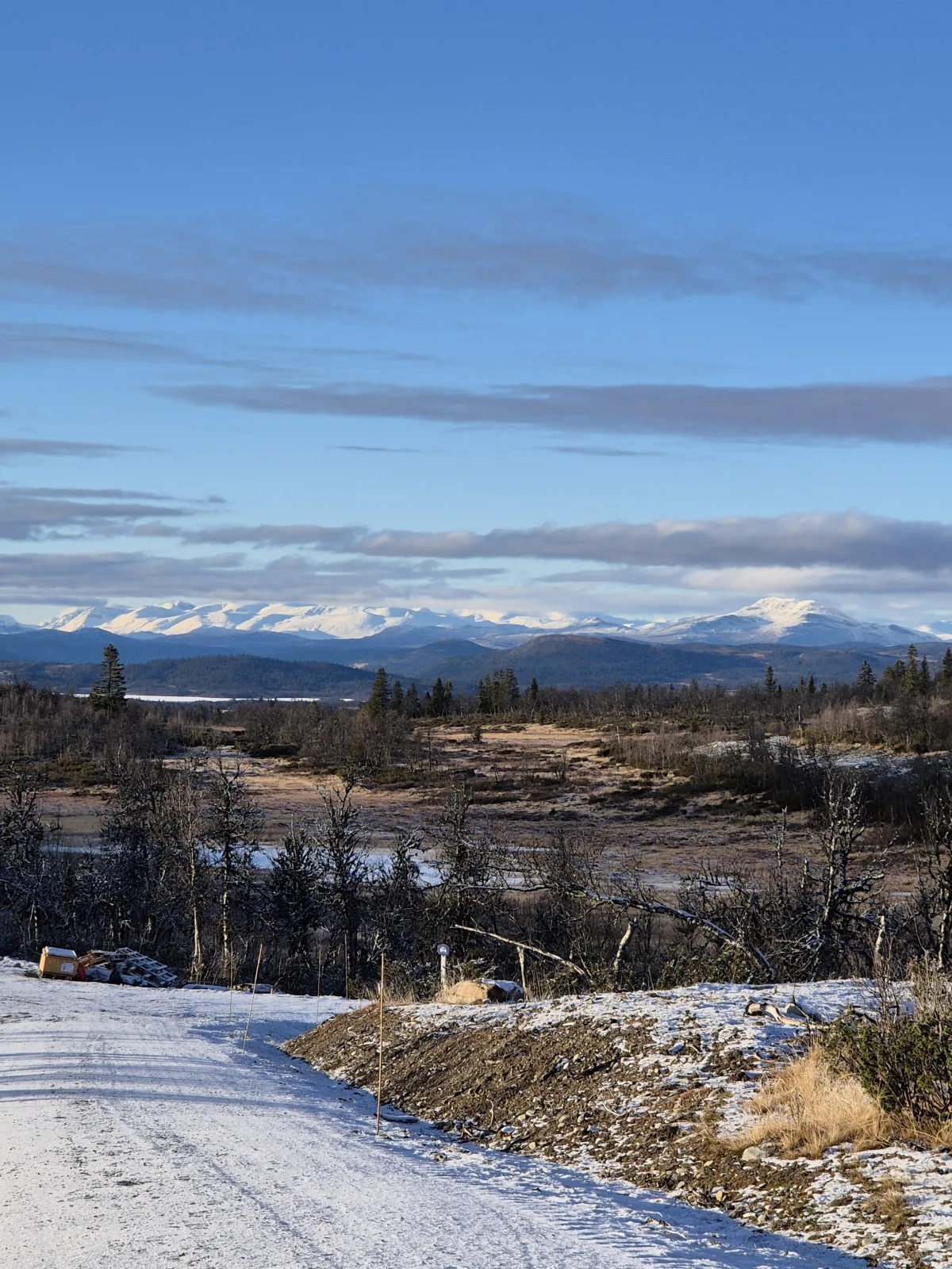 Hygglige Fjellhytte