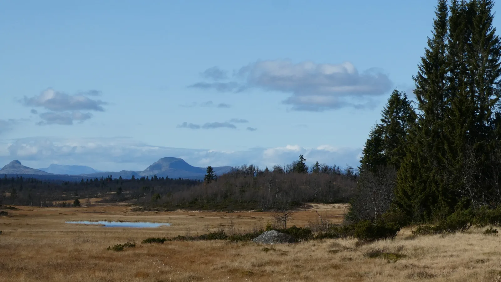 Hygglige Fjellhytte