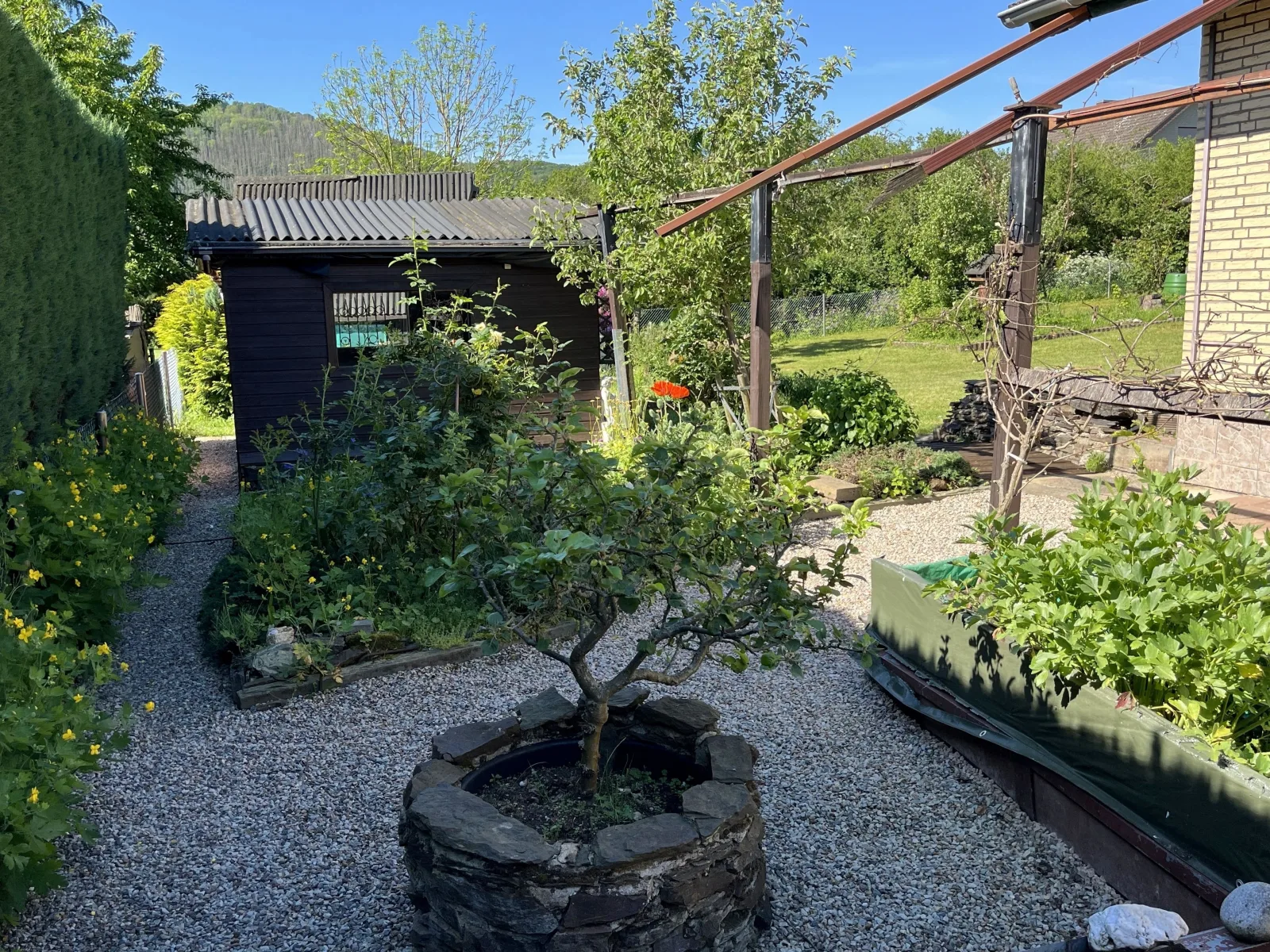 EifelSeensucht