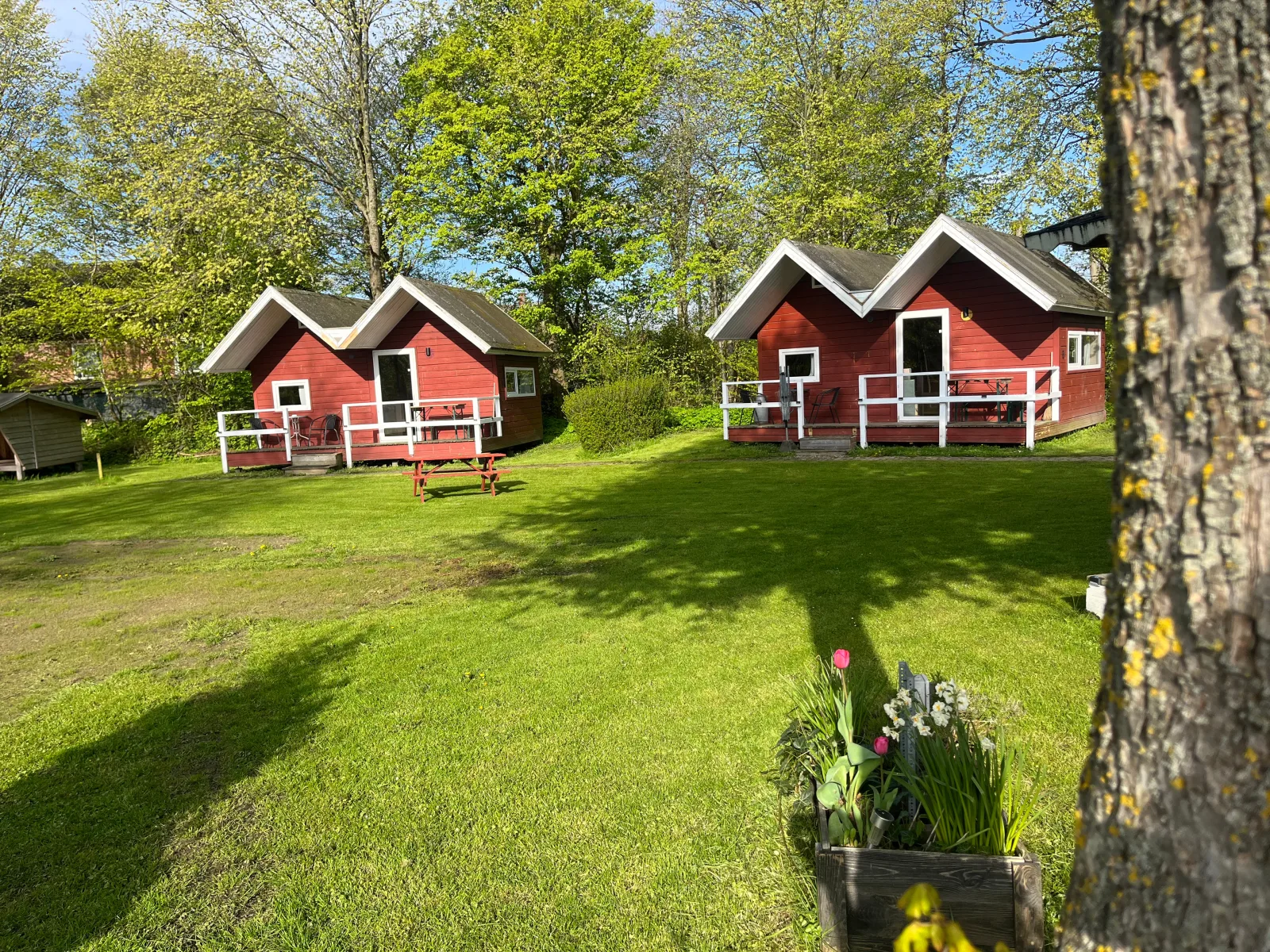 Rinkenæshus Hytte B