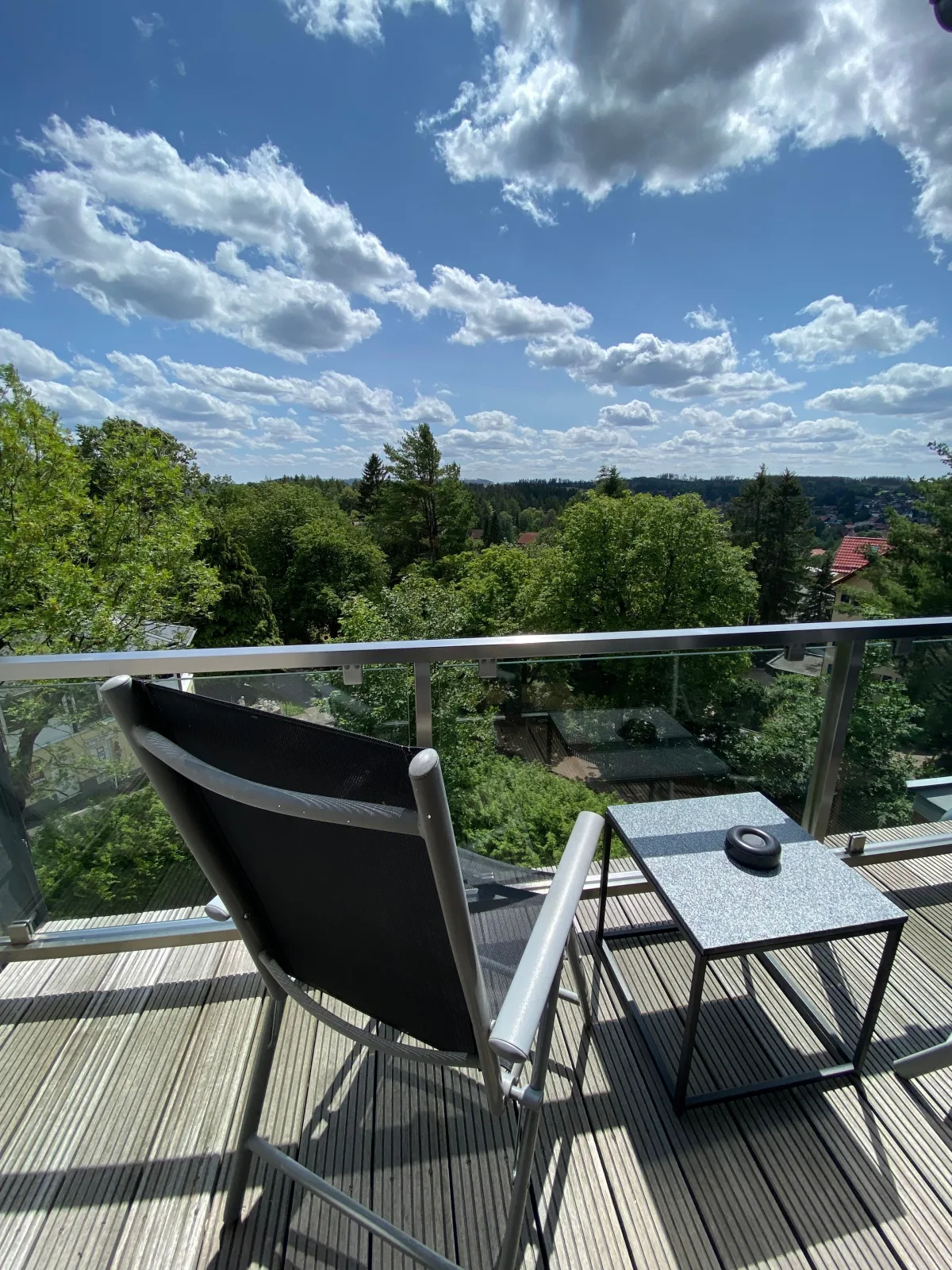 Braunlagelodge Ferienwohnung 2.2 mit Infrarotkabine