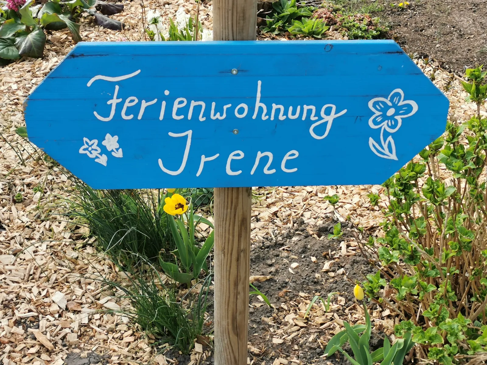 Ferienwohnung Irene in Strackholt