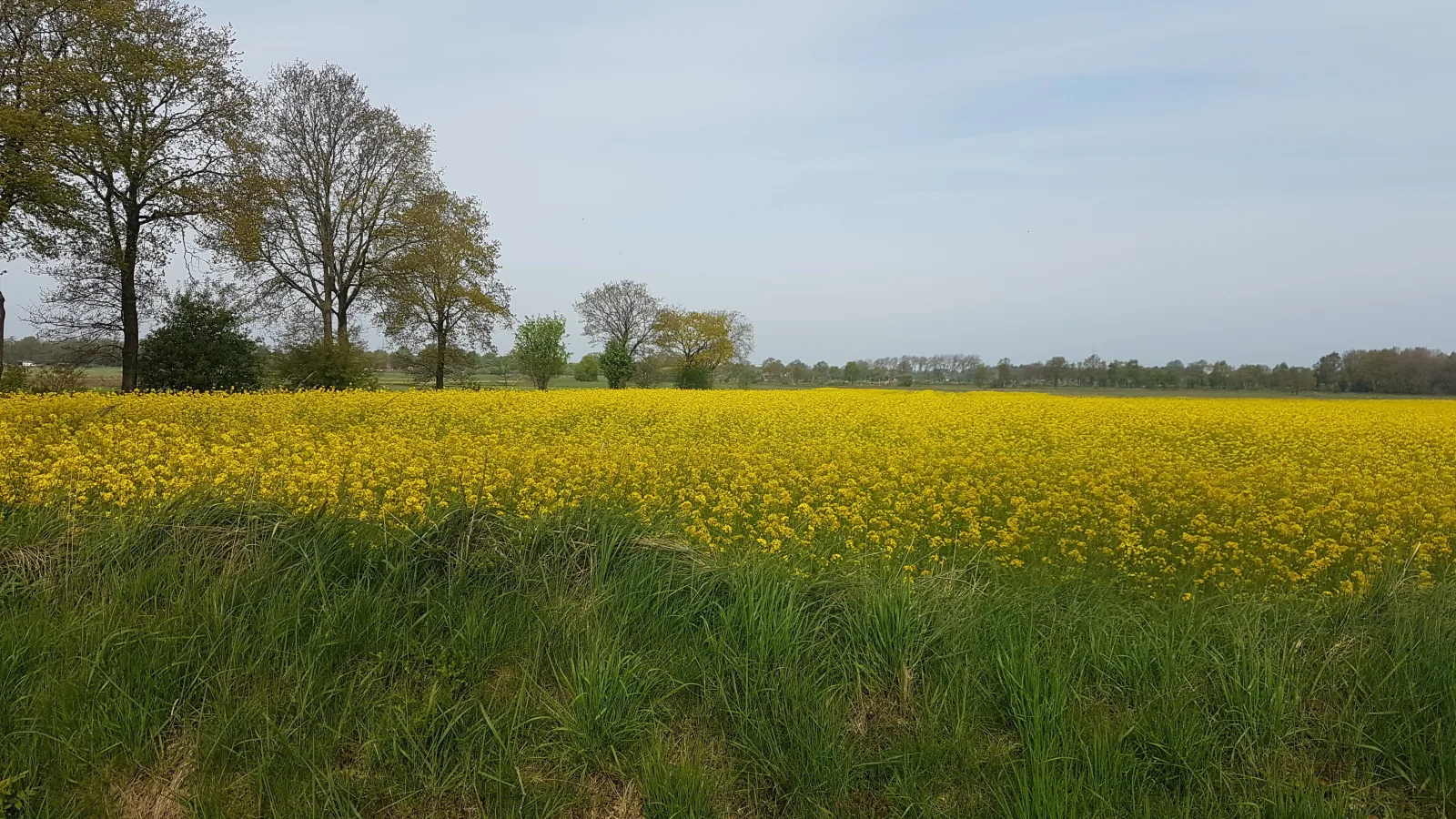 Ferienwohnung Irene in Strackholt