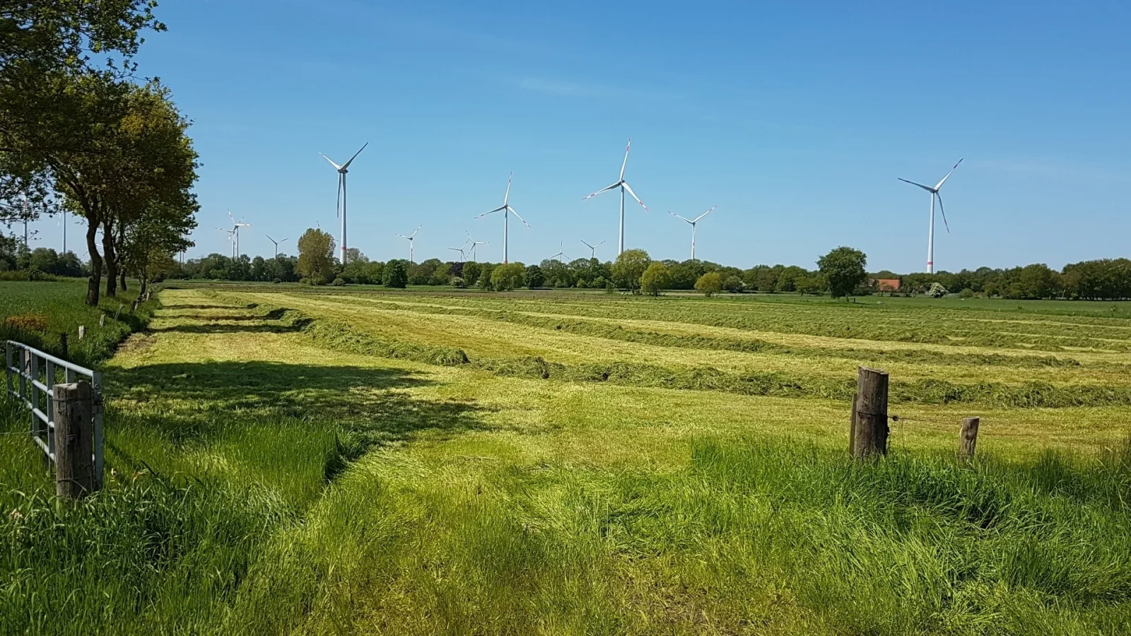 Ferienwohnung Irene in Strackholt