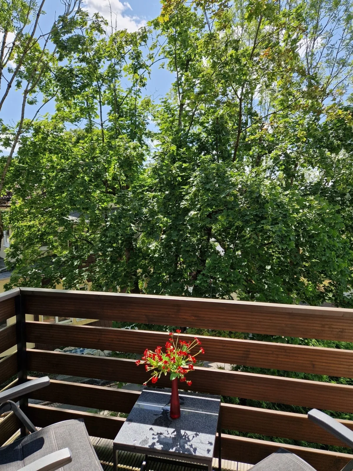 Braunlagelodge Exklusives Loft 1.1 mit Gartenblick