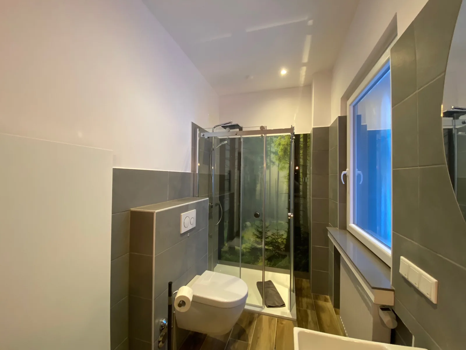 Braunlagelodge Luxusloft 0.1 mit Infrarotkabine
