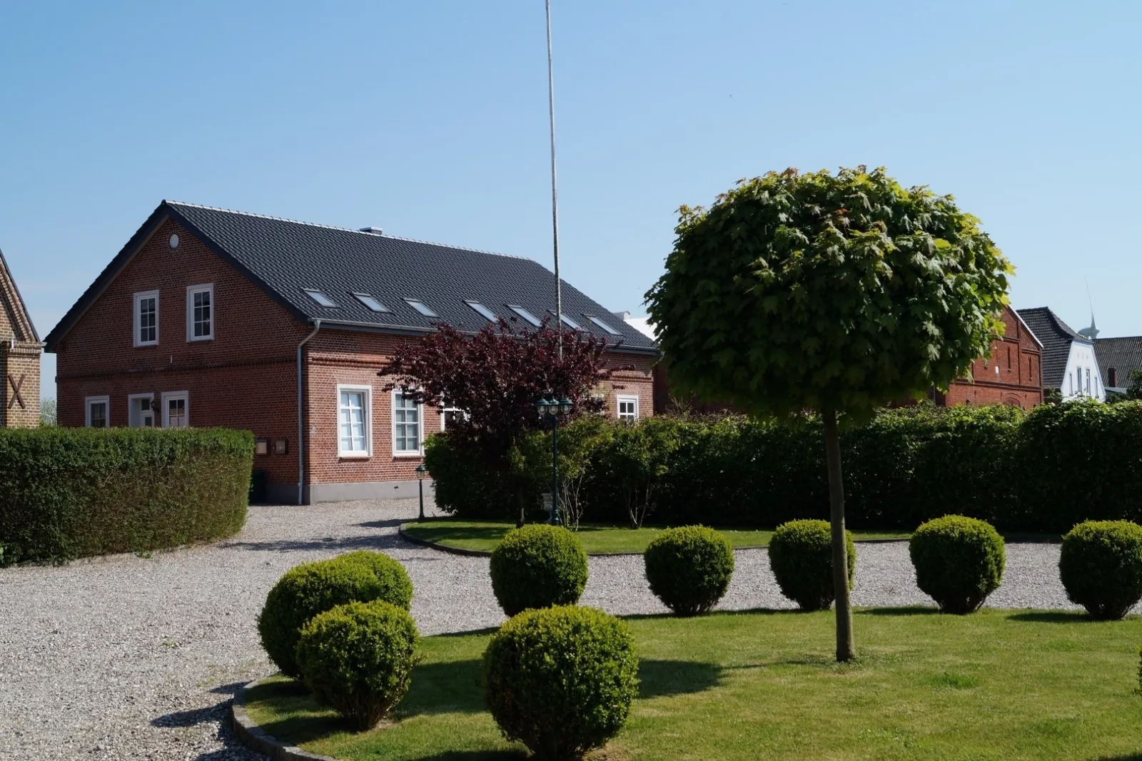Silbermöwe