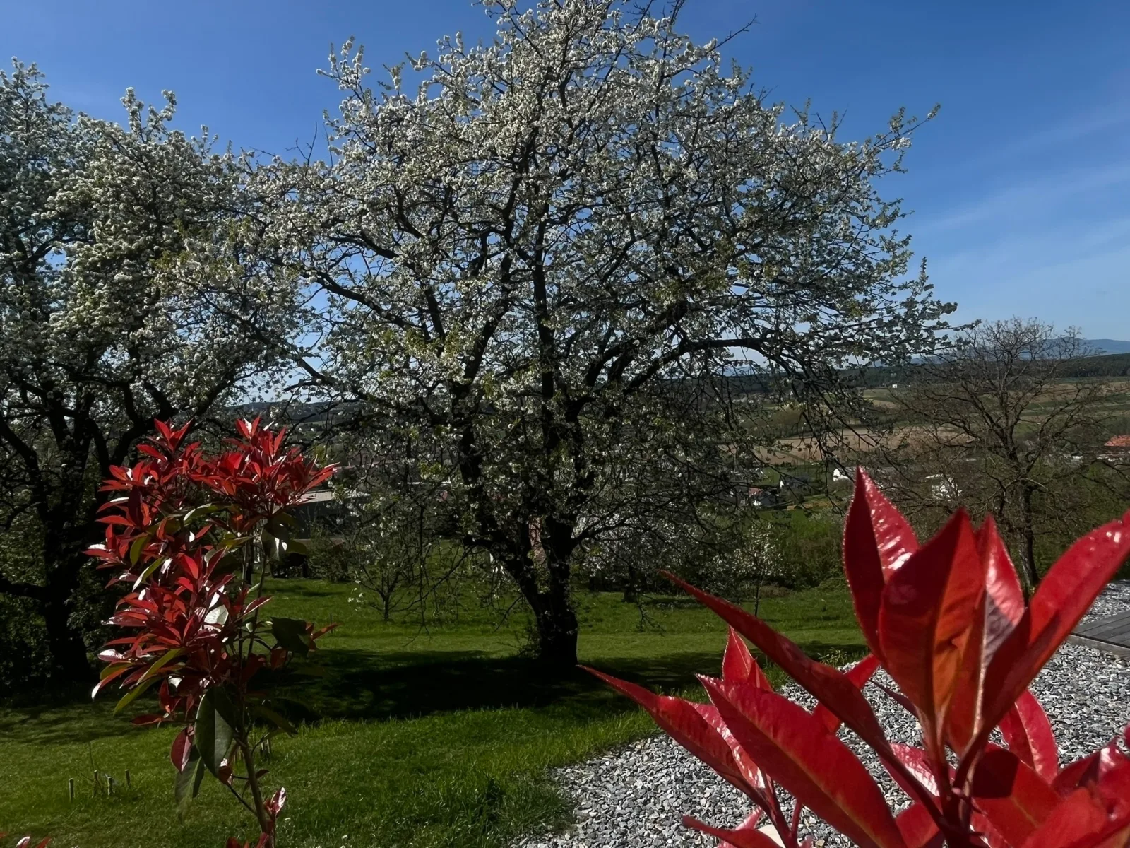 Ferienhaus Luckyliving