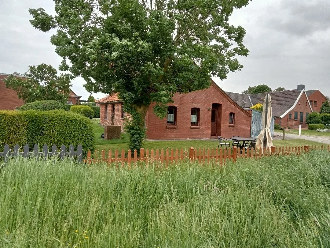 Ferienhaus Landschaft