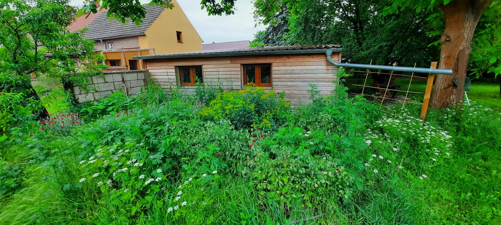 Ferienhaus Luna