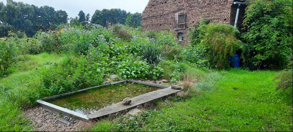 Ferienhaus Luna