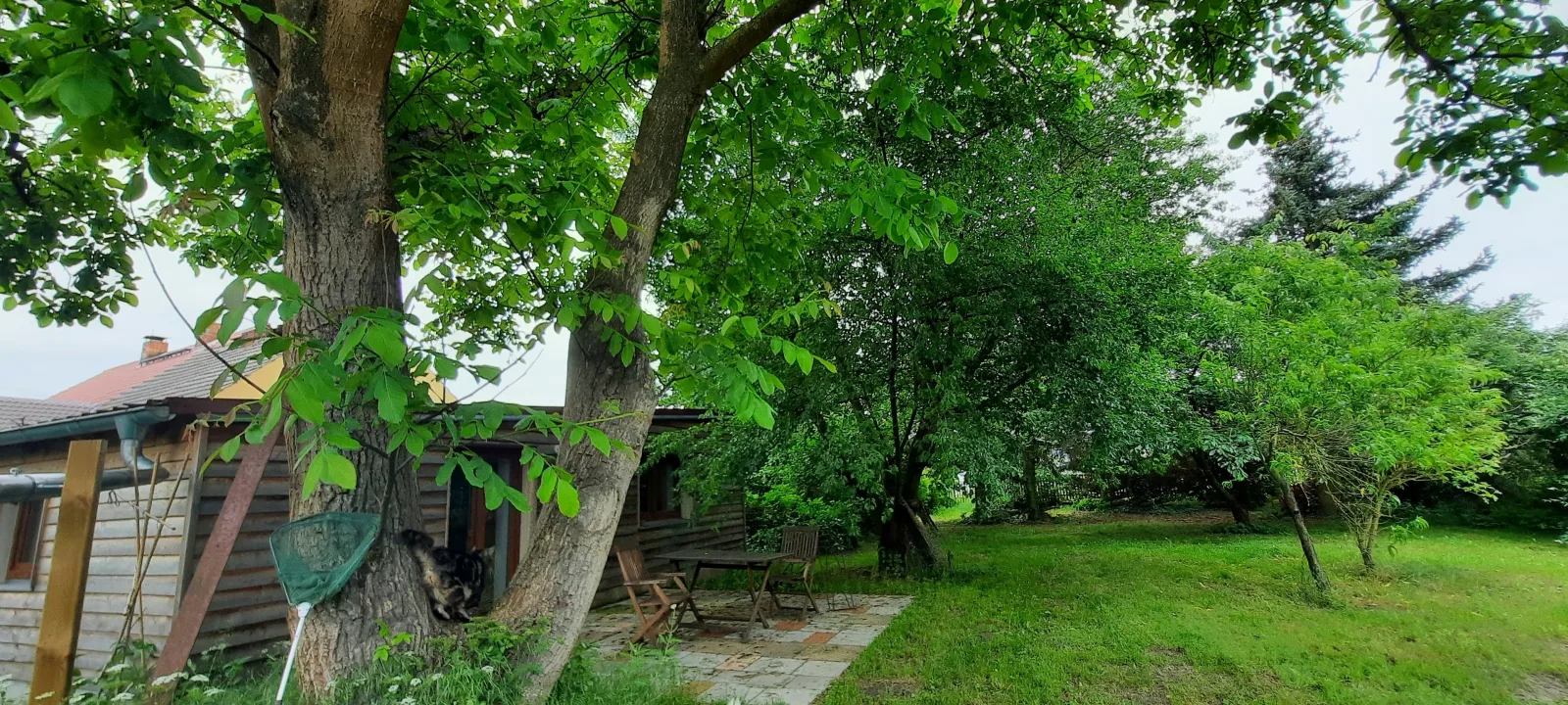 Ferienhaus Luna