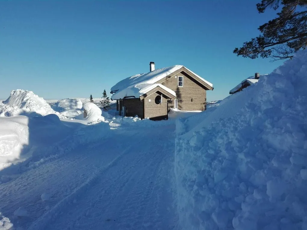Fjellspurven