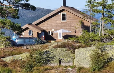 Fjellspurven