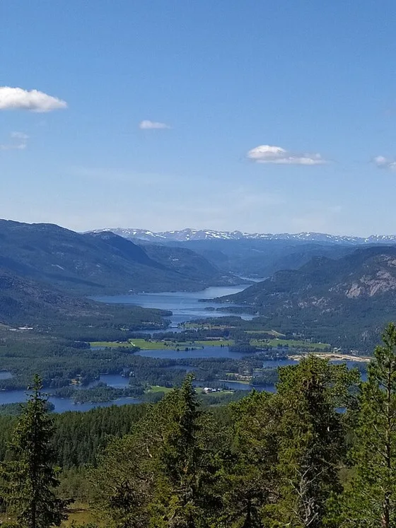Fjellspurven